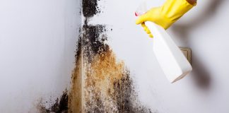 De ce se formează mucegaiul în locuință și cum îl poți preveni