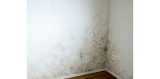 De ce apare mucegaiul în colțurile camerelor și cum îl elimini definitiv