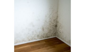 De ce apare mucegaiul în colțurile camerelor și cum îl elimini definitiv